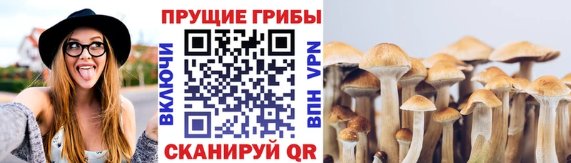 купить наркотик Егорьевск МЕГА маркетплейс Галлюциногенные грибы ЛСД